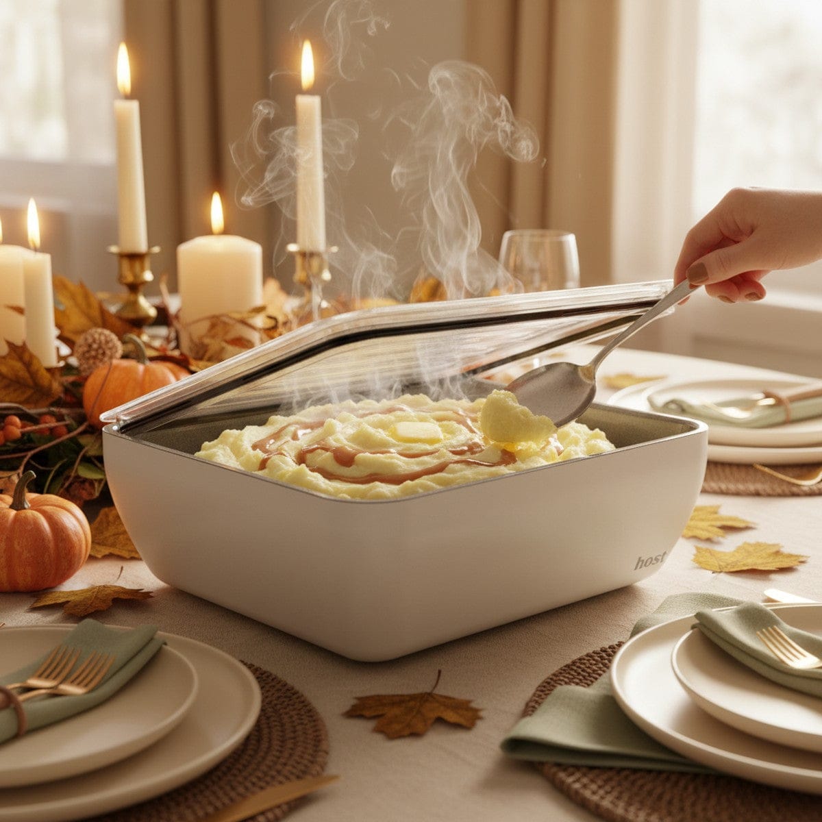 Host Modern 3 Thermal Serving Dishes + 3 Glass Baking Dishes + Carry Bag