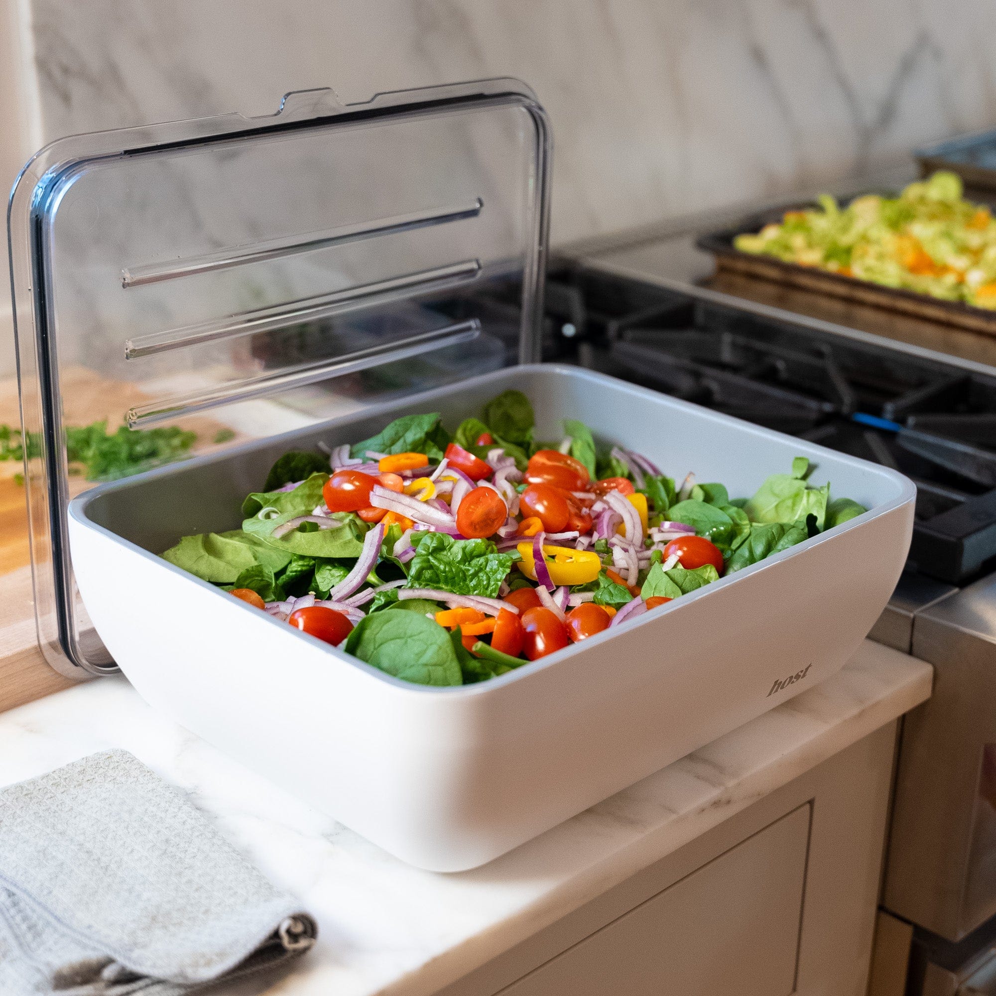 Thermal Serving Dish - Host Modern